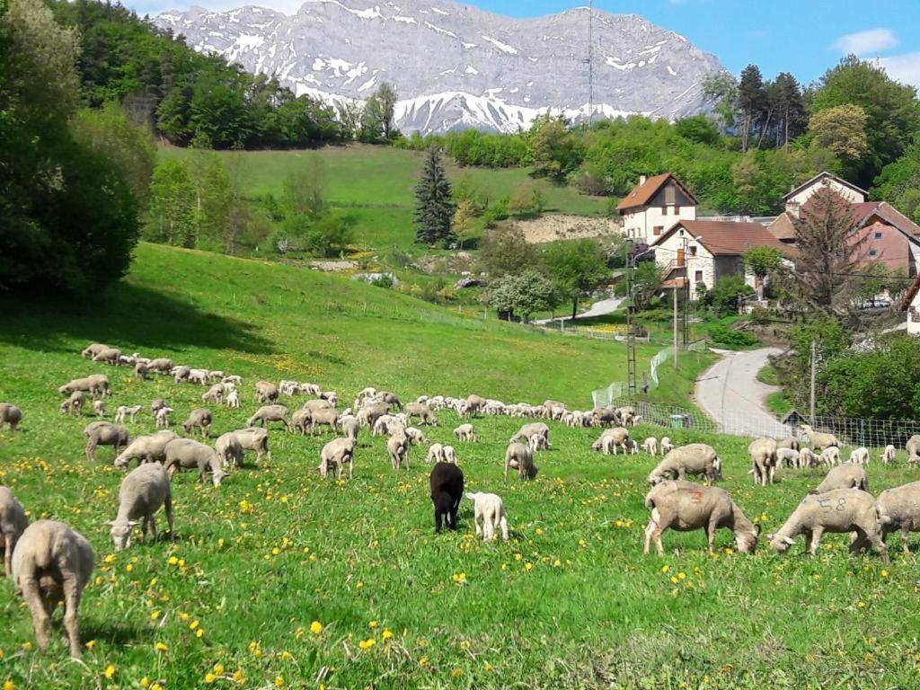 Les Clarines Perceneige - Chambre D'Hotes Vue Sur Montagne & Spa Saint-Jacques-en-Valgodemard Ngoại thất bức ảnh